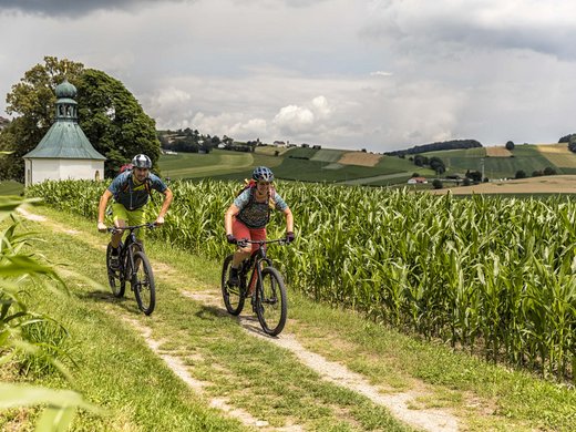 Der Sommer im Hotel mit Außenpool in Bayern Zwei Mountainbiker auf der Bayerwald Route im Bayerischen Wald bei Cham – Aktivurlaub und Naturerlebnis nahe dem Wellnesshotel Randsbergerhof in der Oberpfalz.